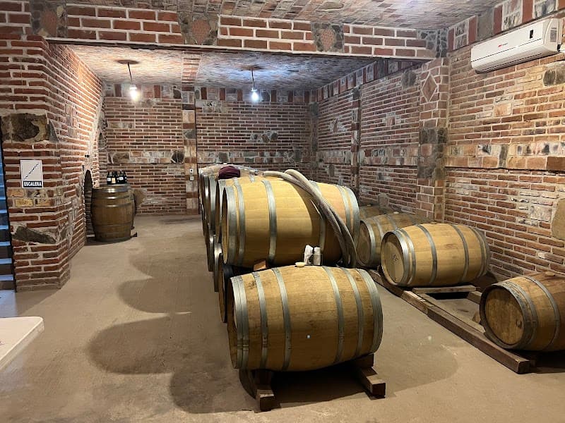 Vinicola JC Bravo photo 2