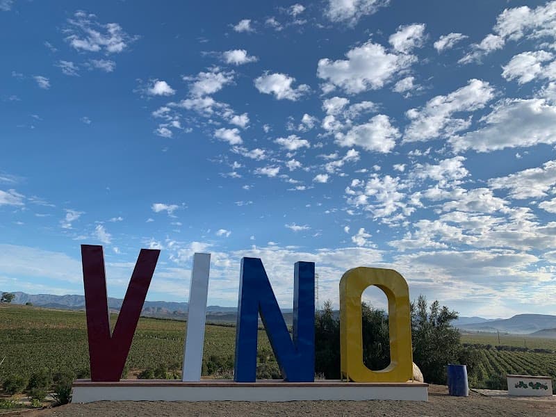Vinos Dubacano photo 4