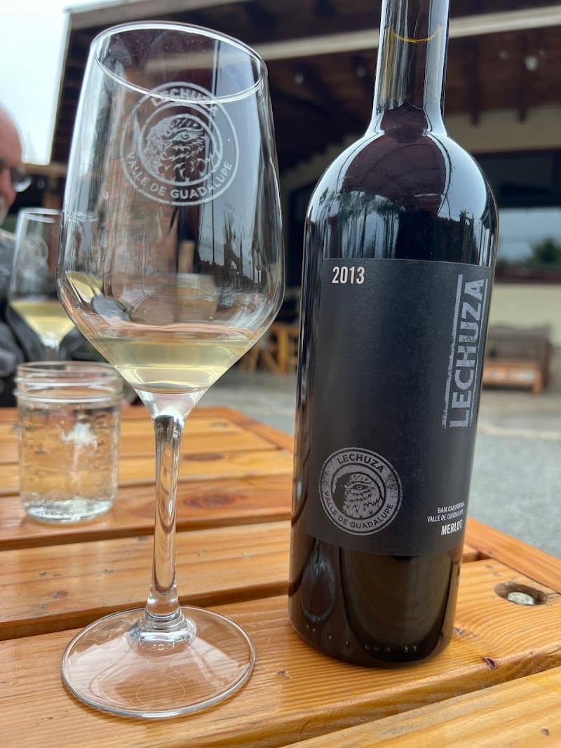 Vinos Lechuza photo 4