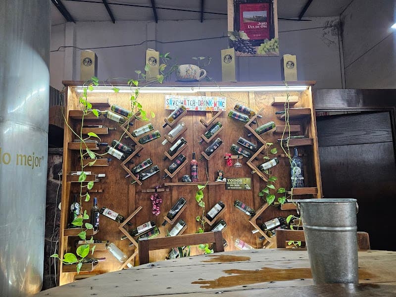 Vinos Santiago Apostol photo 3