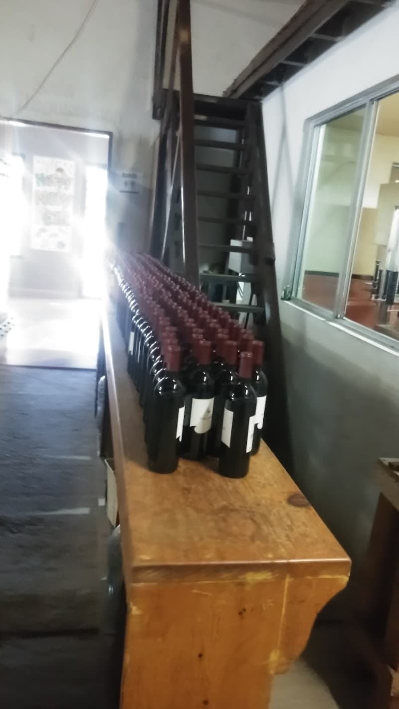 Vinos Valmar, foto 2