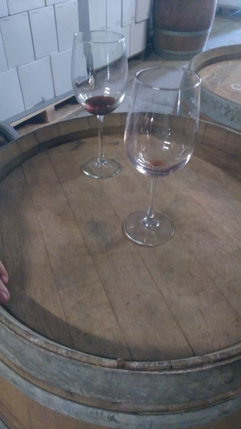 Vinos Valmar photo 3