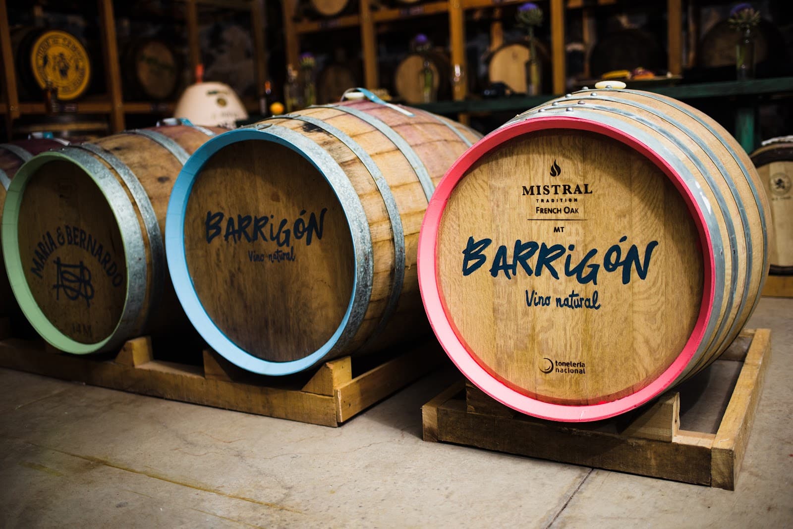 Vinos y Licores Sabrosos de México