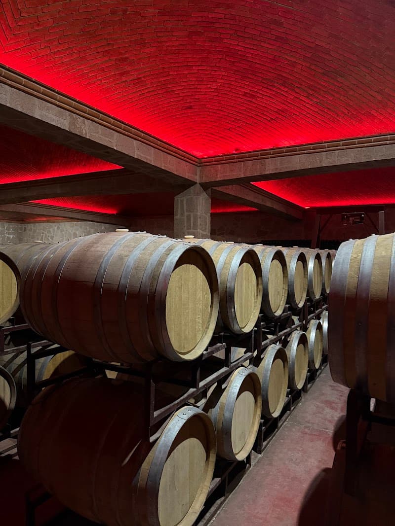 Winery San Juanito Vitivinicola photo 3