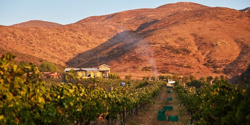 Bodegas F. Rubio