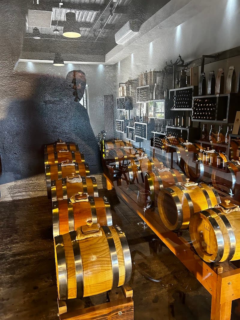 Bodegas Magoni photo 3
