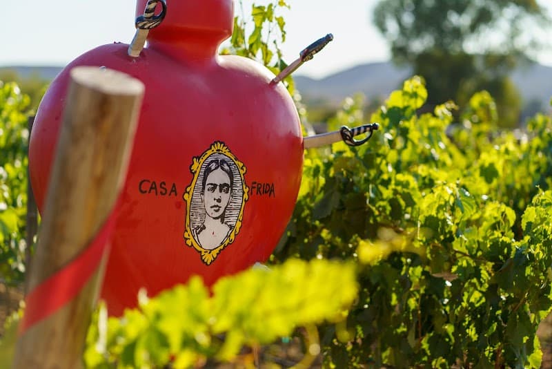 Casa Frida Valle de Guadalupe, photo 2