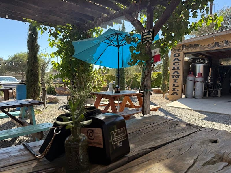 Cervecería Bellinghausen photo 2