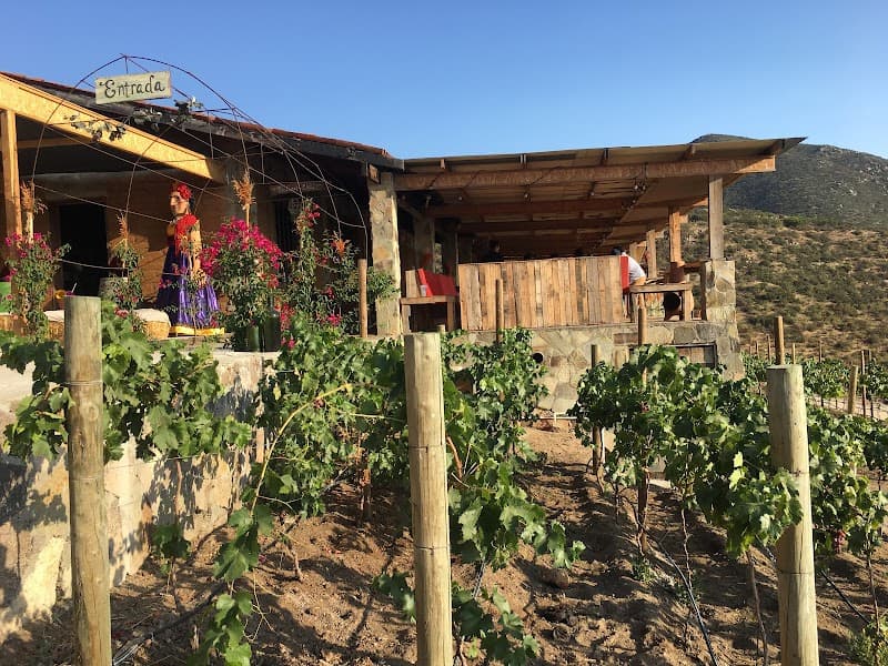 Cieli Winery photo 4