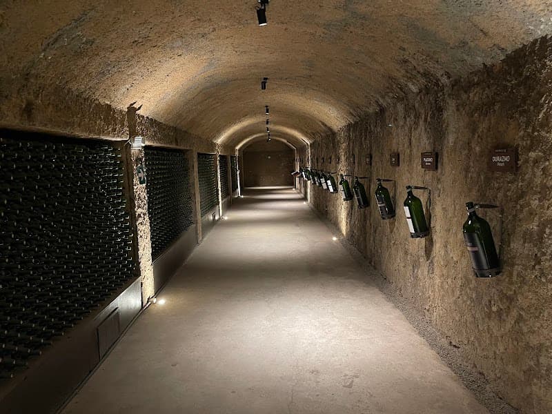 Domecq Winery photo 1