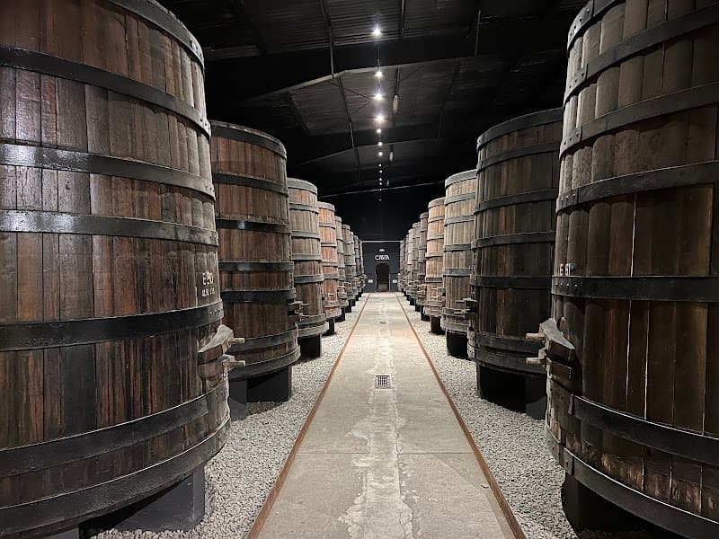 Domecq Winery photo 2