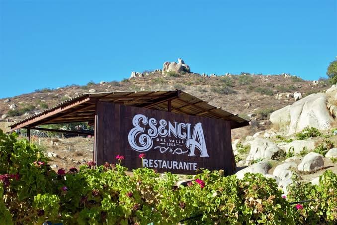 Esencia del Valle photo 3
