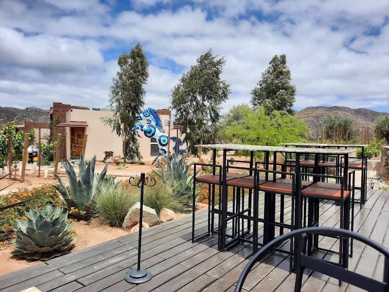 OJO AZUL, WINERY photo 1