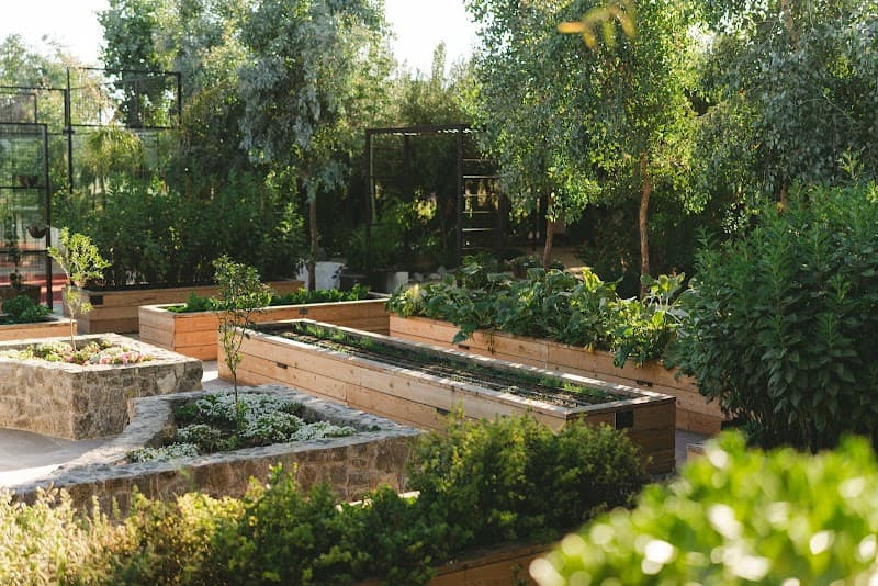 Olivea Farm to Table photo 2