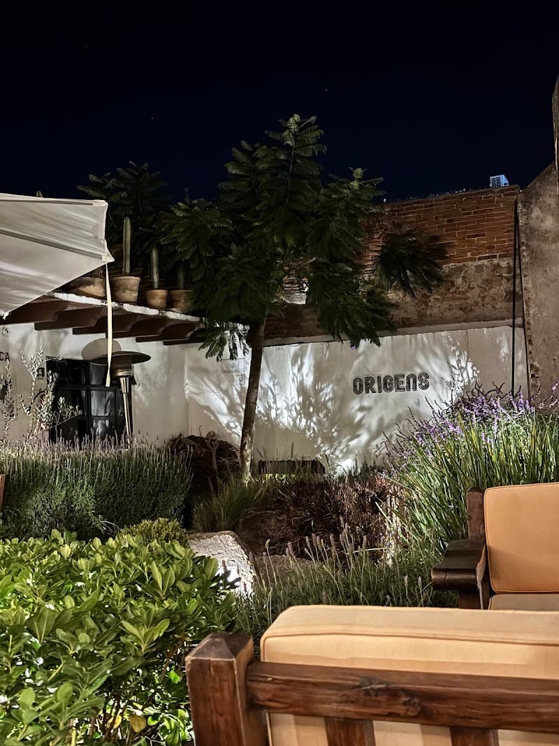 ORIGENS - Cocina Mediterranea photo 3
