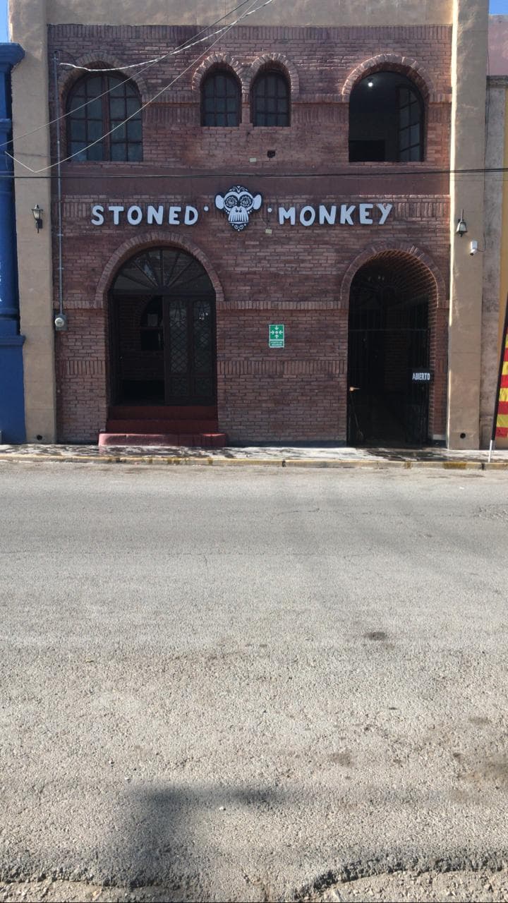 STONED MONKEY PARRAS photo 1