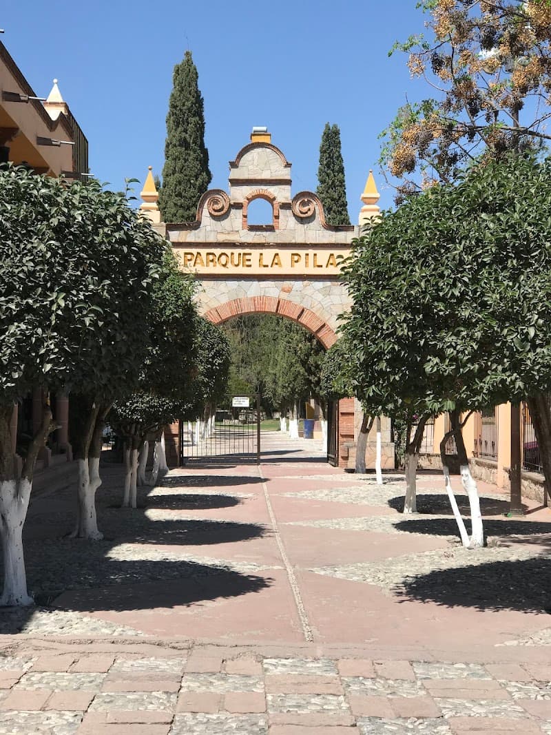 Tequis photo 2