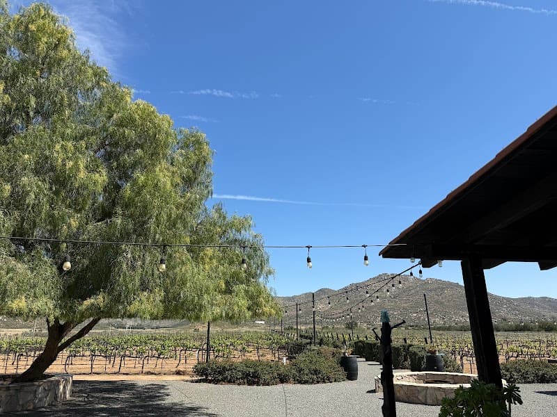 TREVISTA Vineyards, photo 2