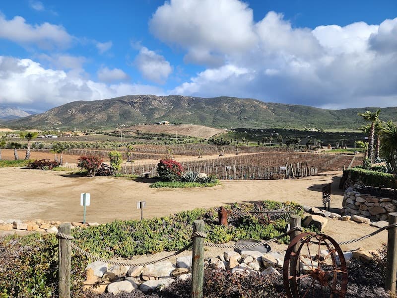 Viñas de la ERRE, photo 2