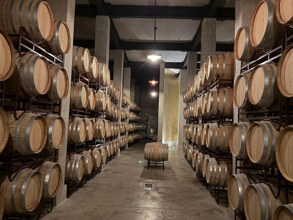 Viñedo De Cote photo 2