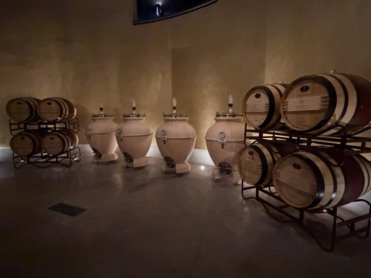Viñedo De Cote photo 5