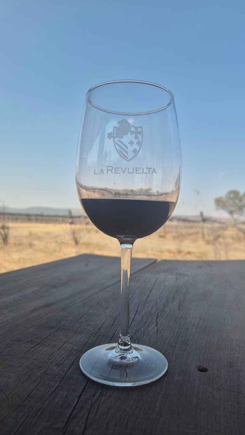 Viñedo La Revuelta - Restaurante Gran Reserva photo 4