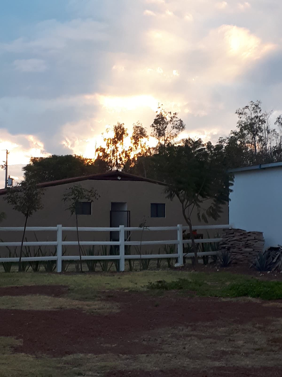 Viñedo San Rafael photo 5