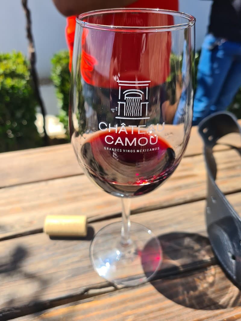 Vinícola Château Camou | Viñedo Grandes Vinos Mexicanos, photo 2