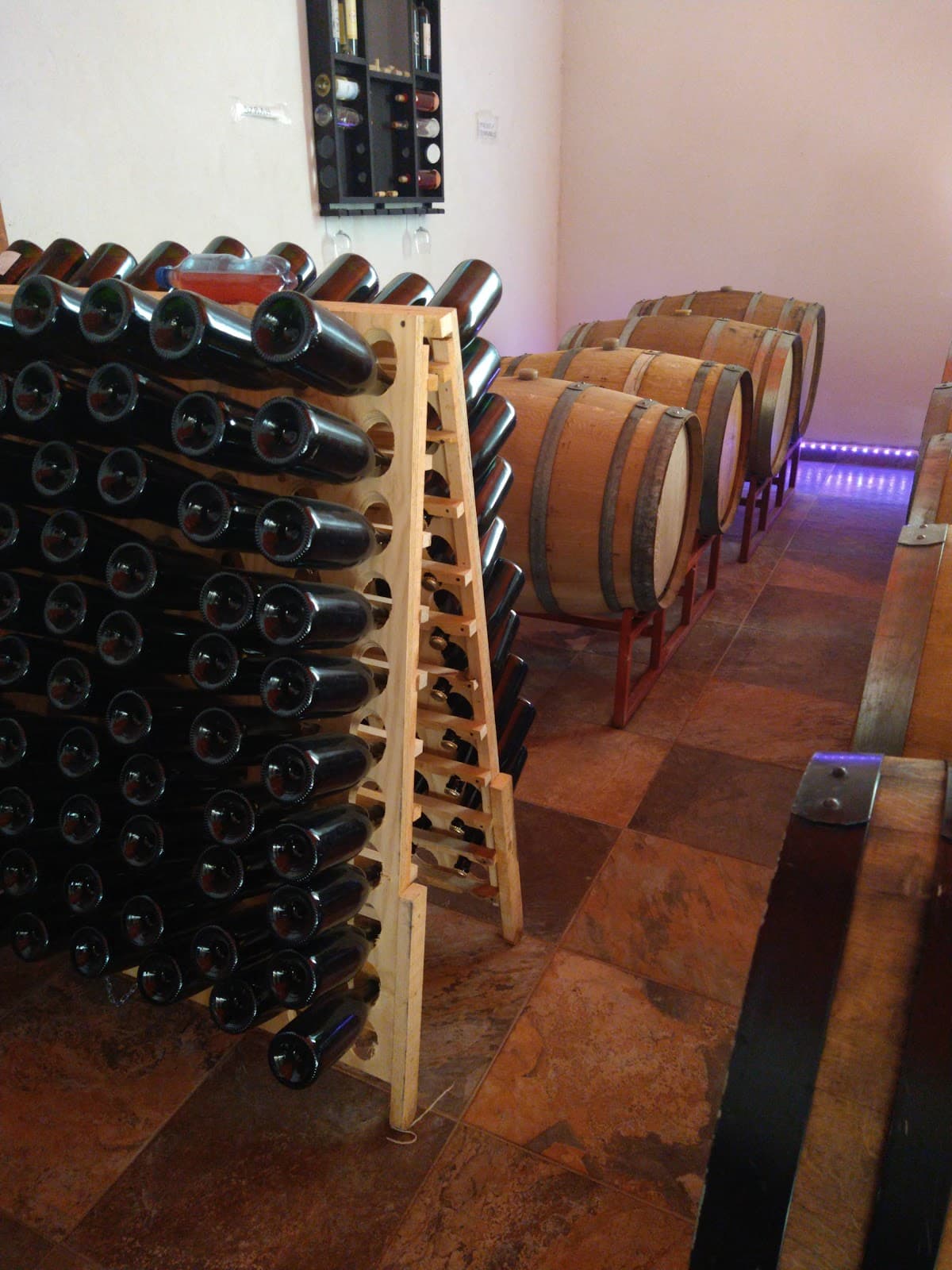 Vinicola El Paraiso photo 3
