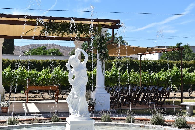 Vinícola Raíces, photo 2