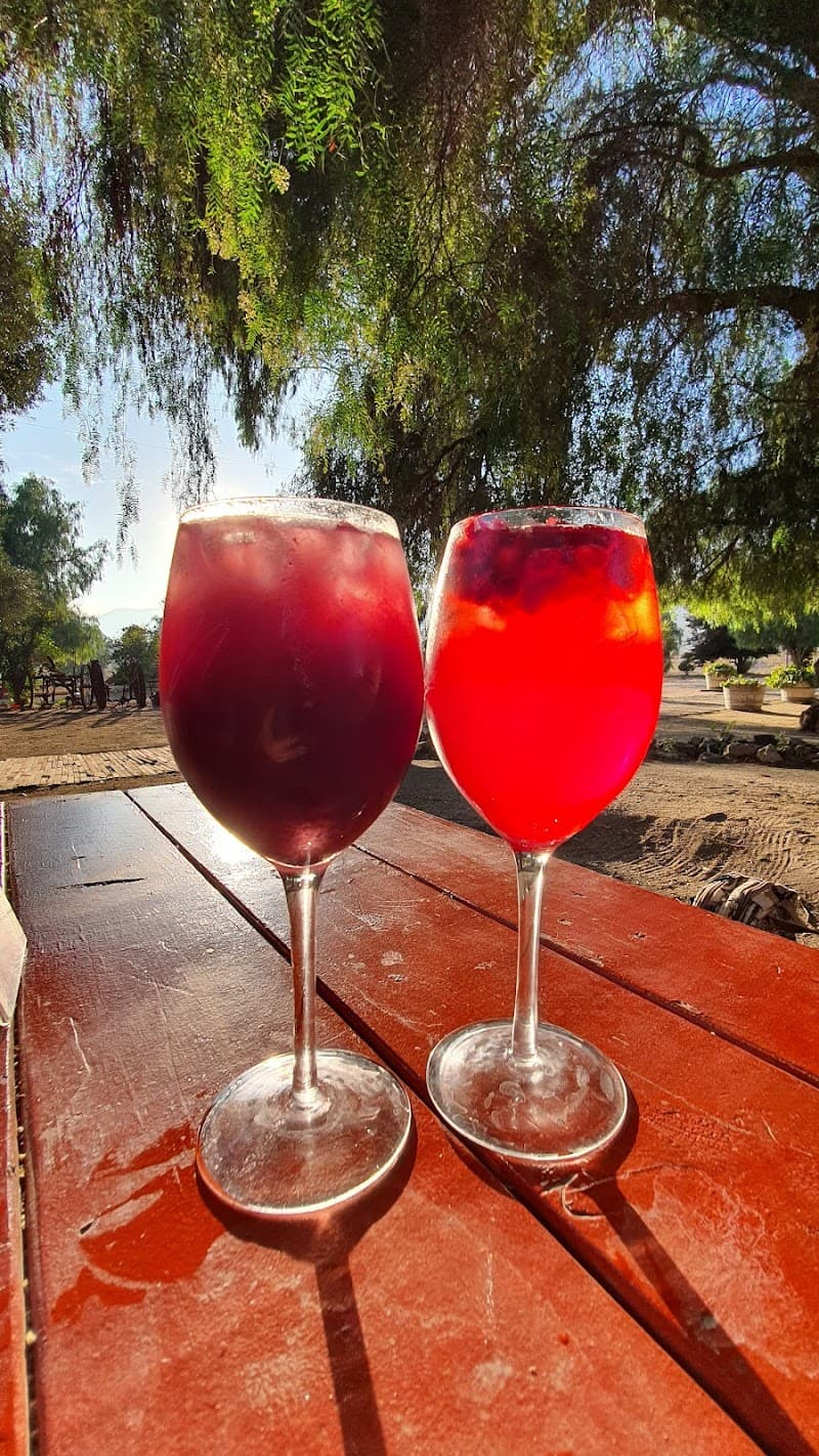 Vinos Bibayoff photo 4