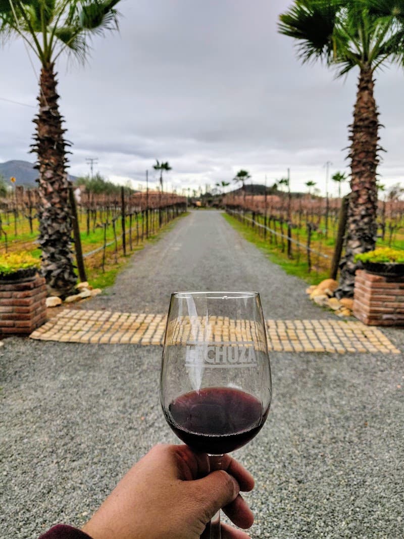 Vinos Lechuza photo 4