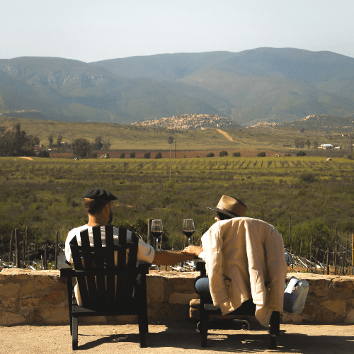 Vinos Xecue, photo 2