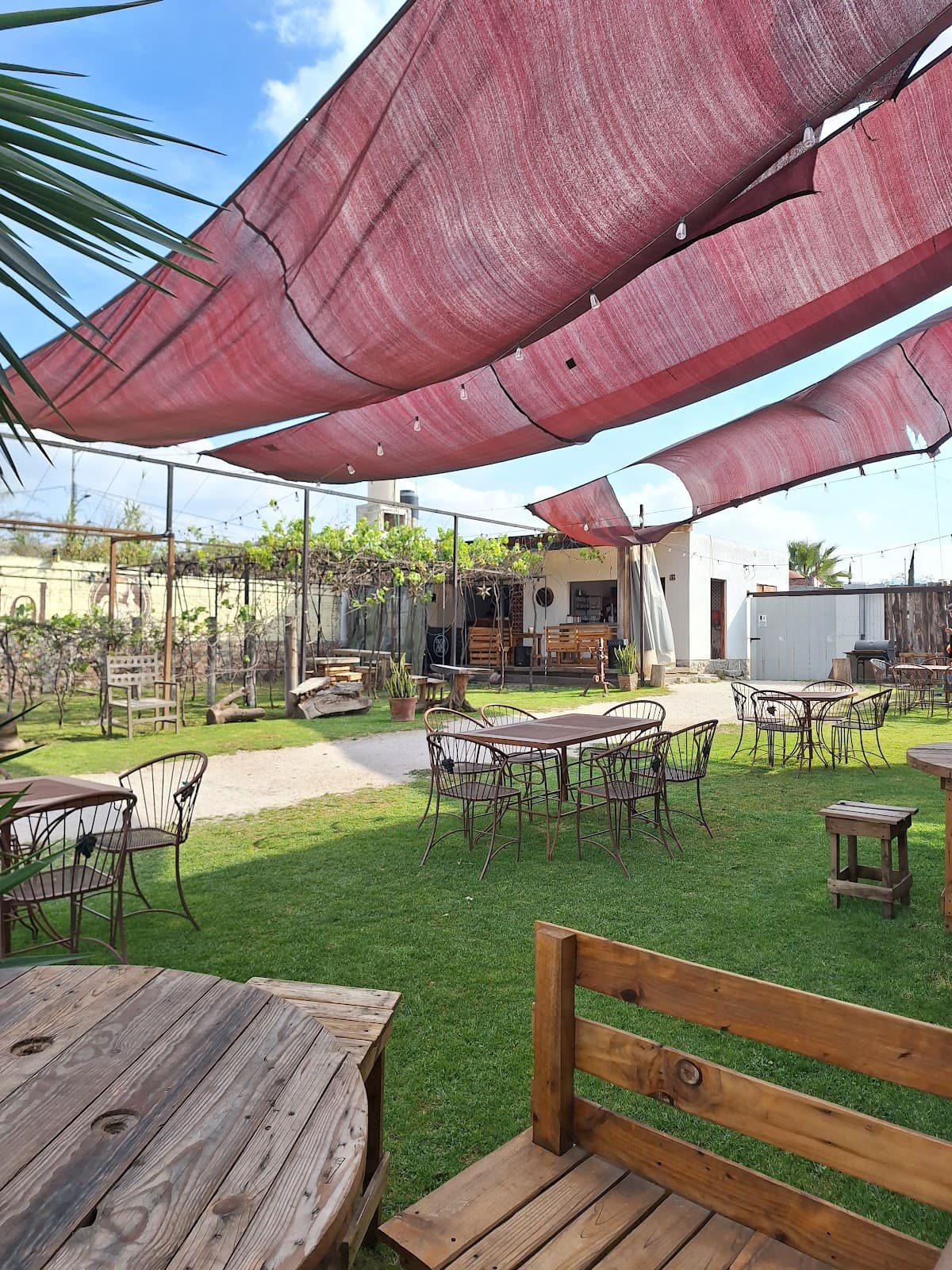 Wine Garden VSP photo 3