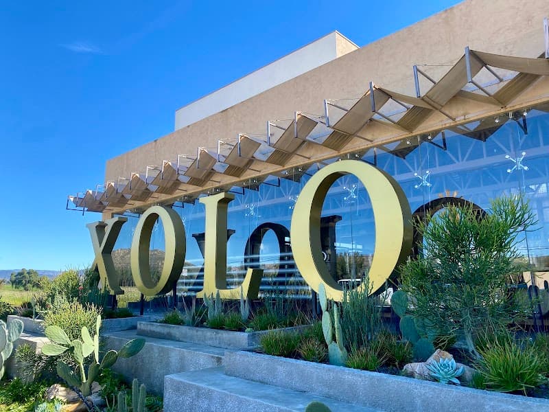Xolo Wine photo 2