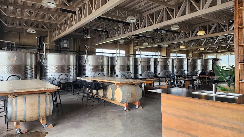 Xolo Wine photo 4
