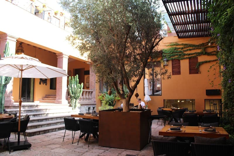 Ziracco San Miguel de Allende photo 4